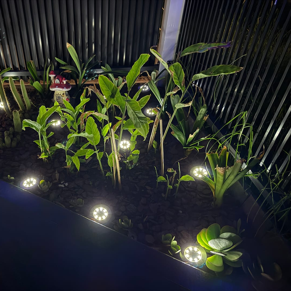 Plus de 36 000 clients ont adopté nos lampes