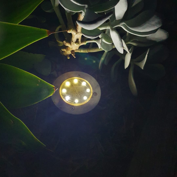 Plus de 36 000 clients ont adopté nos lampes